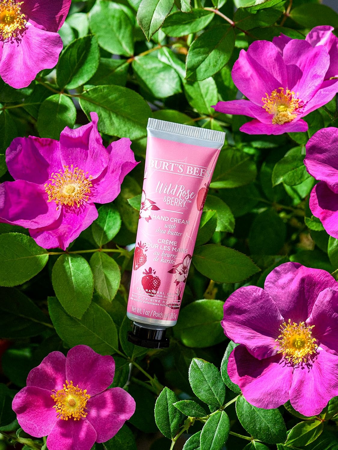 image:imageBurts Bees Handcream Wild Rose amp Berry Handcreme mit Sheabutter Handpflege fr trockene Hnde 500436283 g 1er Pack