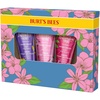 Burt’s Bees Handcream Watermelon & Mint – Handcreme mit Sheabutter – Handpflege für trockene Hände – 500437(Handcreme Trio Geschenkset)